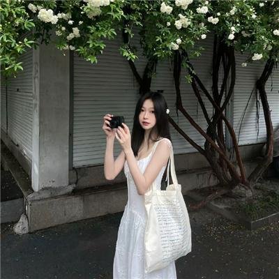 艳探莉莉